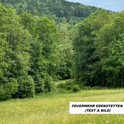 Design ohne Titel.PNG